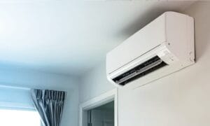 IMG-20260125-WA0003