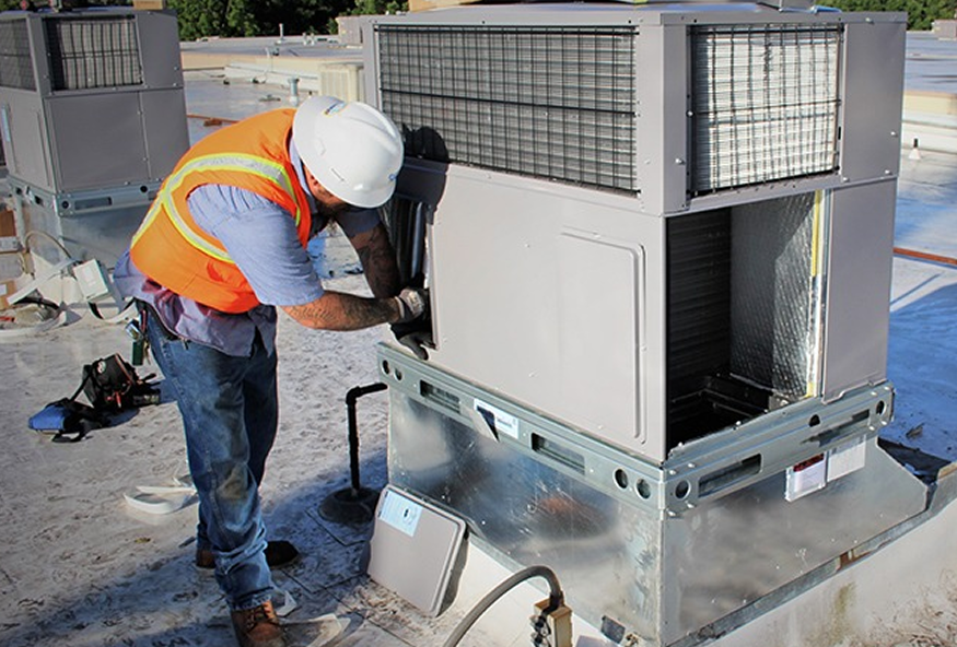 WhatsApp Image 2026-01-31 at 4.06.09 PM 1 (1)