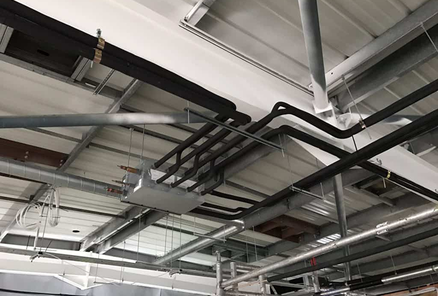 WhatsApp Image 2026-01-31 at 4.06.10 PM (1) 1