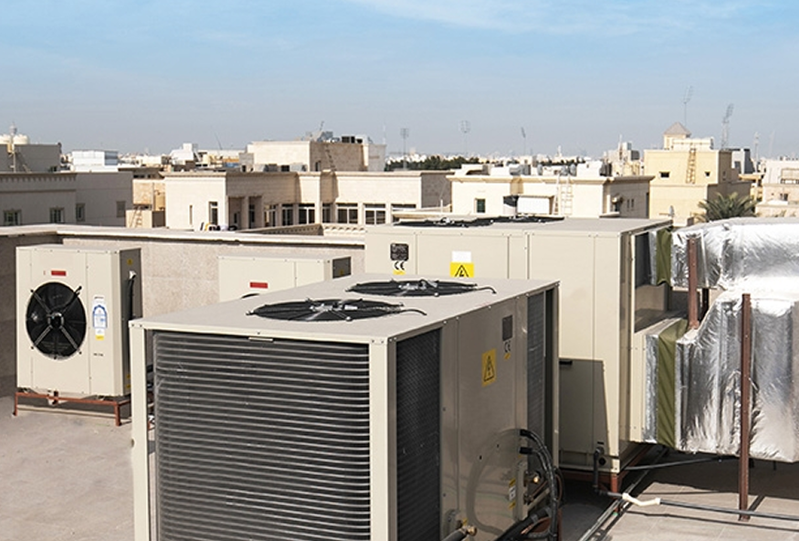 WhatsApp Image 2026-01-31 at 4.06.10 PM (2) 1